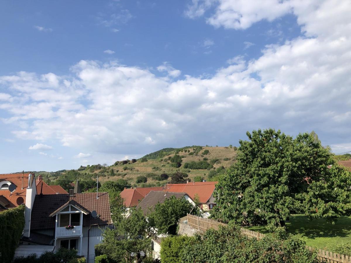 Ferienhaus Irene Vogtsburg Exterior foto