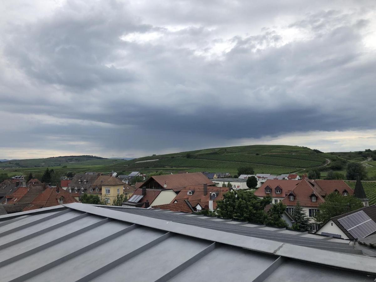 Ferienhaus Irene Vogtsburg Exterior foto